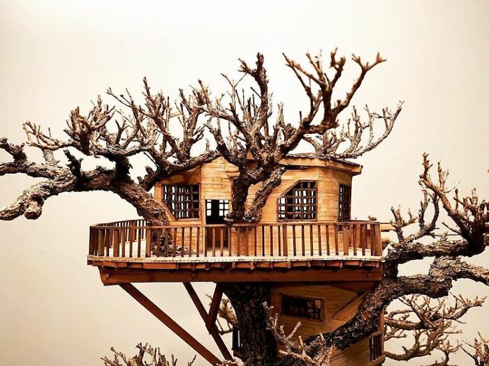 24 Photos Of Tiny Treehouses Handcrafted Within Bonsai Trees By The Late Dave Creek