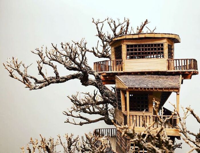 24 Photos Of Tiny Treehouses Handcrafted Within Bonsai Trees By The Late Dave Creek
