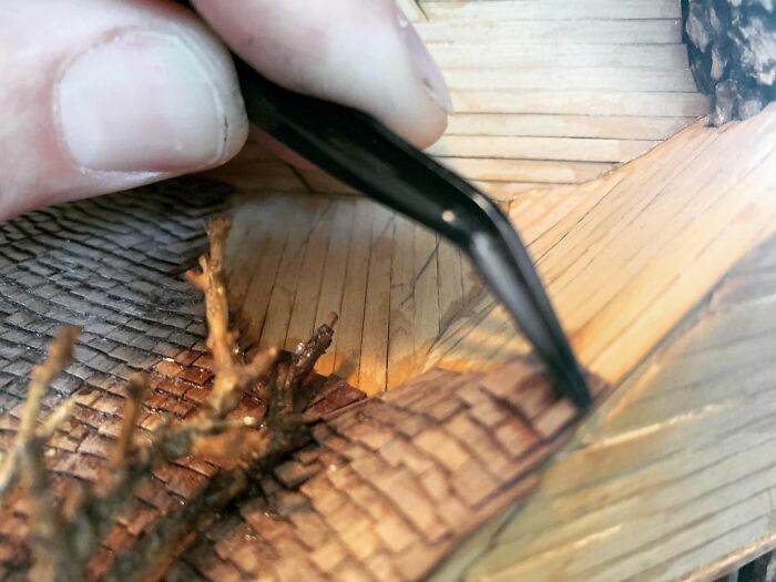 24 Photos Of Tiny Treehouses Handcrafted Within Bonsai Trees By The Late Dave Creek