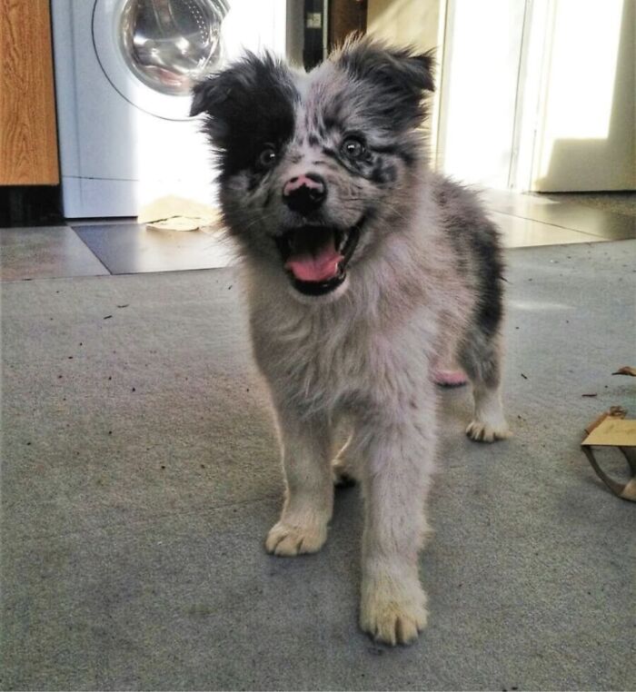 Our Rory 5 Years Ago. I'm Not Sorry For The Mess, It's Accurate.