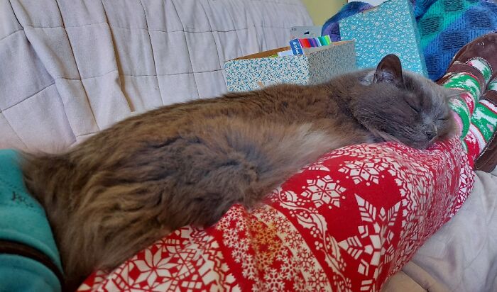 The Definition Of Contentment.