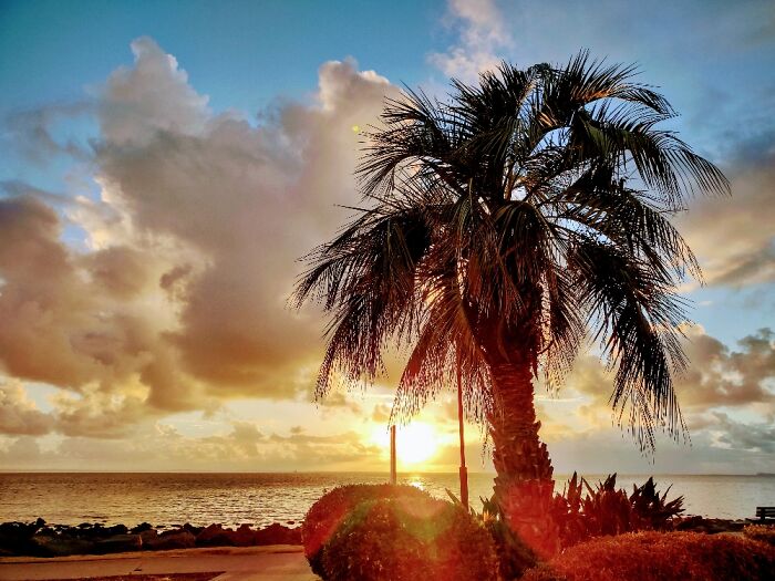 Start Of My Ocean Swimming Training.