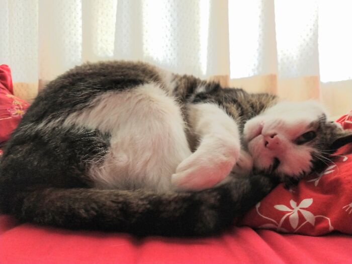 Cutie Patootie Finn, Sleeping On My Bed 💗