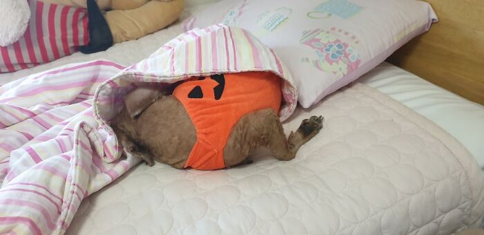 She Always Sleeps Like That And I Always Put Her Arm Back In Place Cuz It Seems Painful Lol