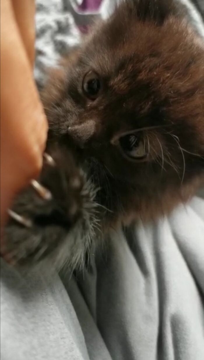 She's Trying To Eat Me