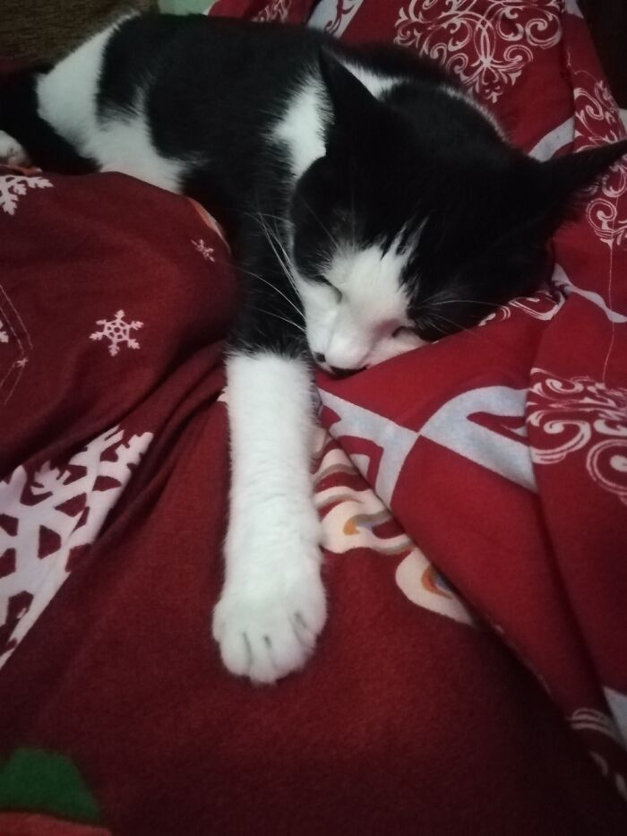 Do Not Disturb Please!