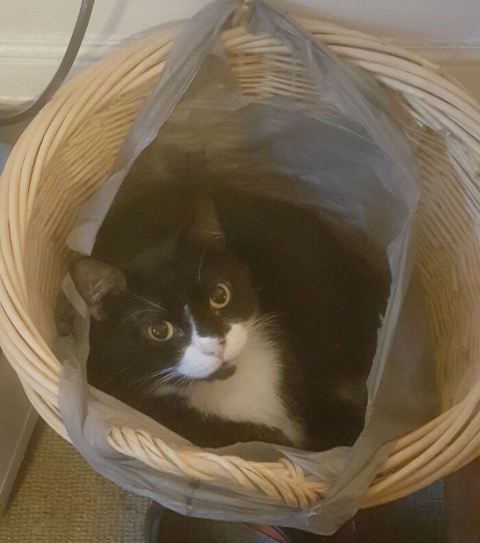 Kickin' It In The Trash Can Like She Belongs There 😂😂