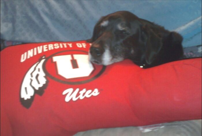 Max- Rang The Bell During A Storm, Asked To Come In, Then Decided To Stay.