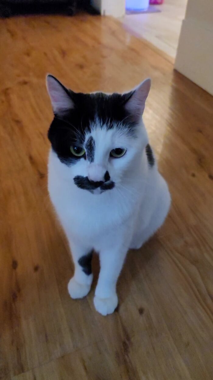 My Boy On His Best Behavior ☺