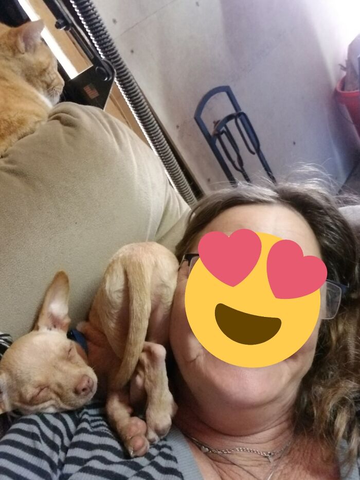 Izzy Decided To Take A Nap....