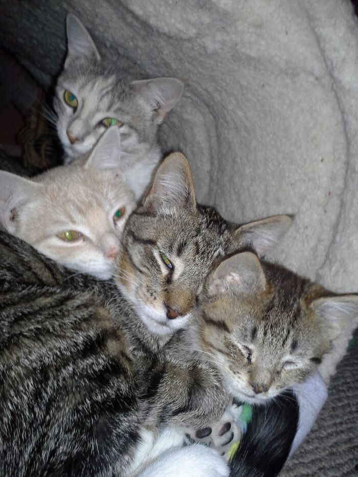 The Four Stages Of Sleep!