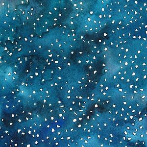 ella-foster-tui avatar