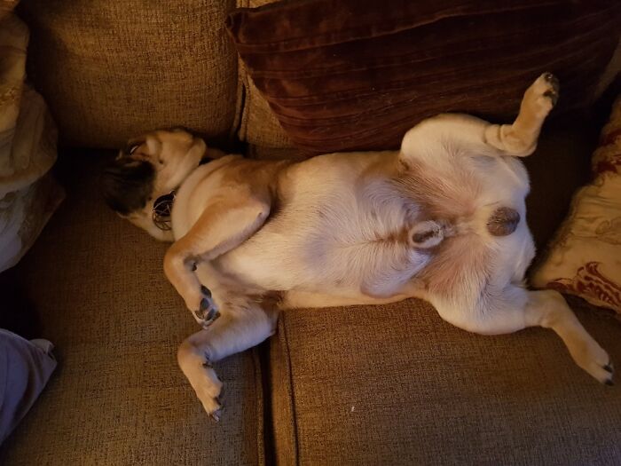 Letting It All Hang Out