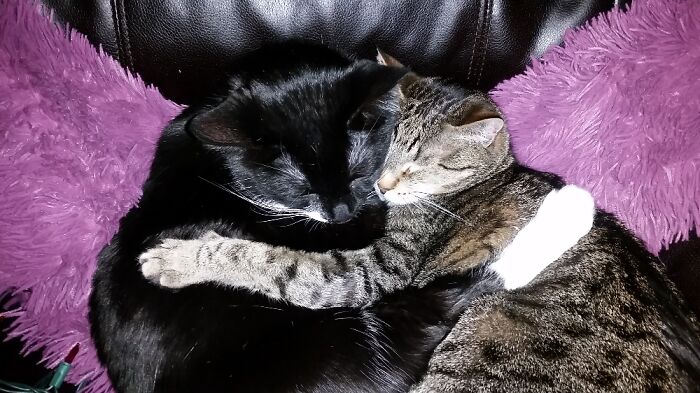 Kikio & Ramsey Aka: Snuggle Bunnies