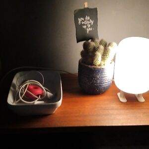 catherineenciso avatar