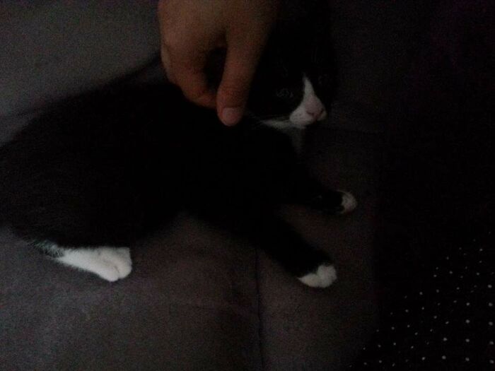 First Time Touching Puck, She's Very Shy