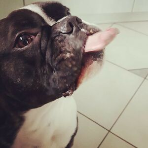 synyster-kiwi avatar