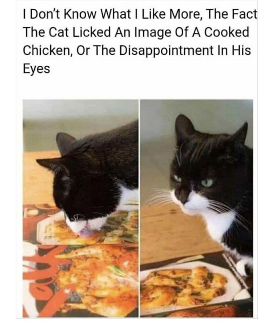 Filthy Hooman Trickster