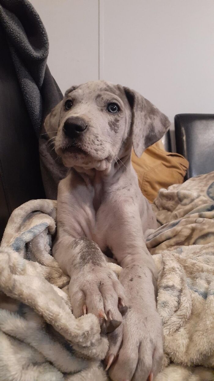 Hehe...dis Is Elliott...i Wuv Her...i Hope You Love Her Too