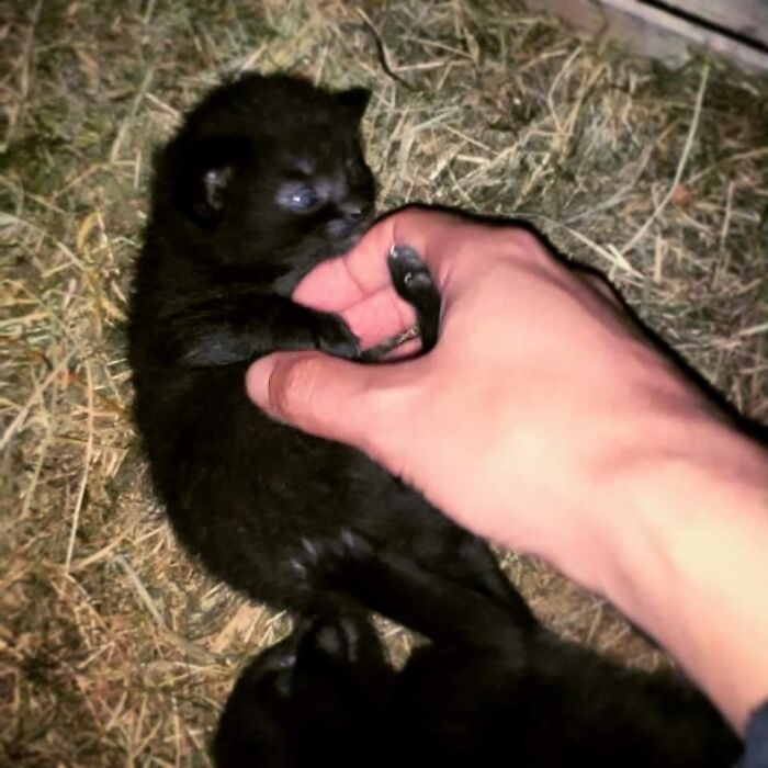 Little Moe, Back In The Days