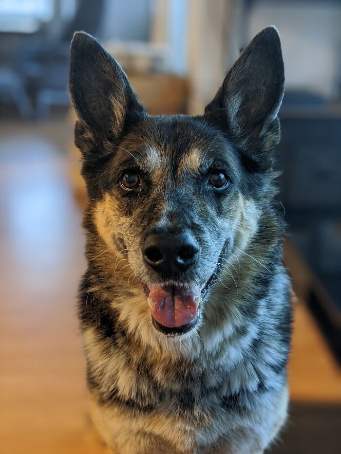 I Took This Photo 2 Days Before She Passed Away.