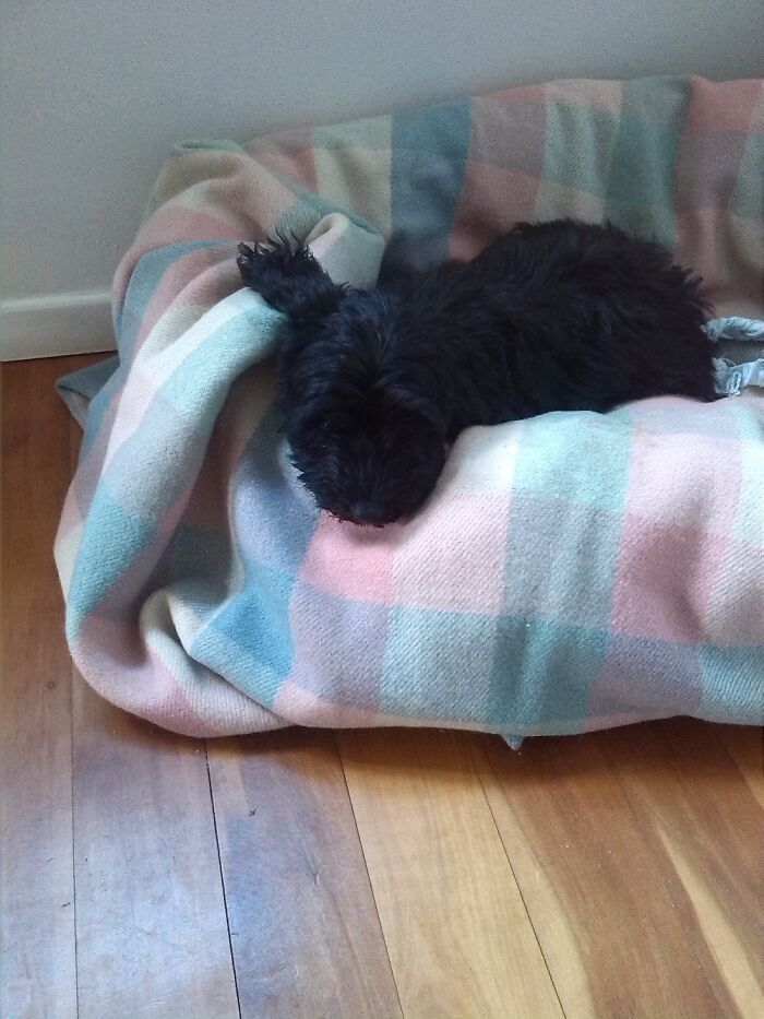 She Has Grown Out Of Two Beds Since Then...