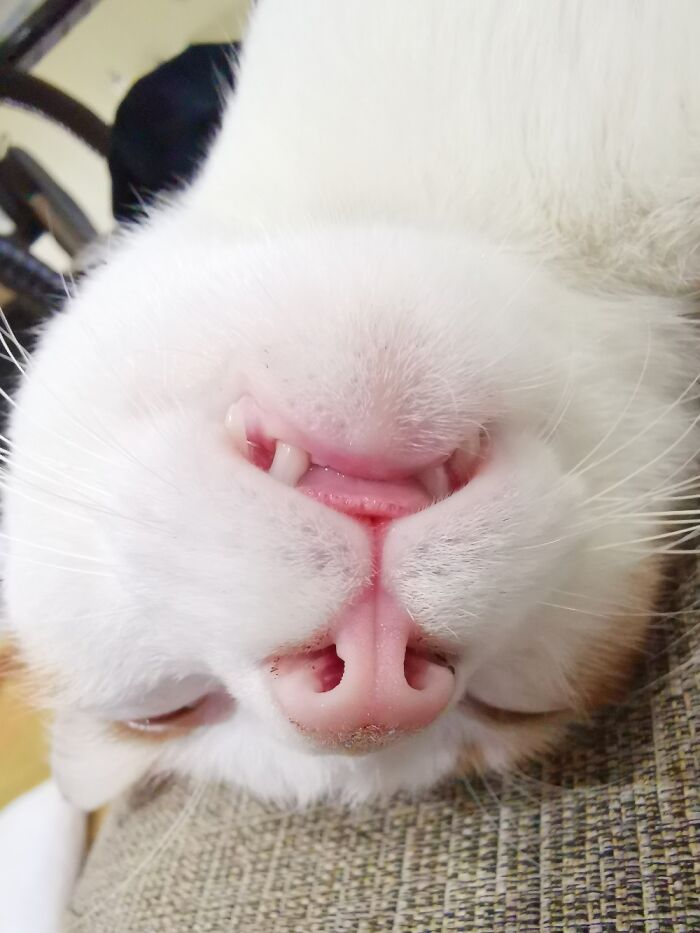 I'm In A Deep Slumber, I Couldn't Care Less What Others Think Of Me.