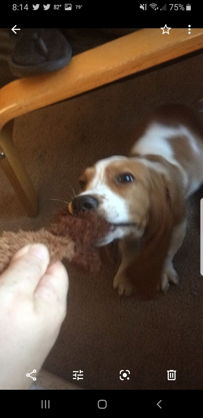 Follow Up: Sebastian Is A Happy, Loving Boy!