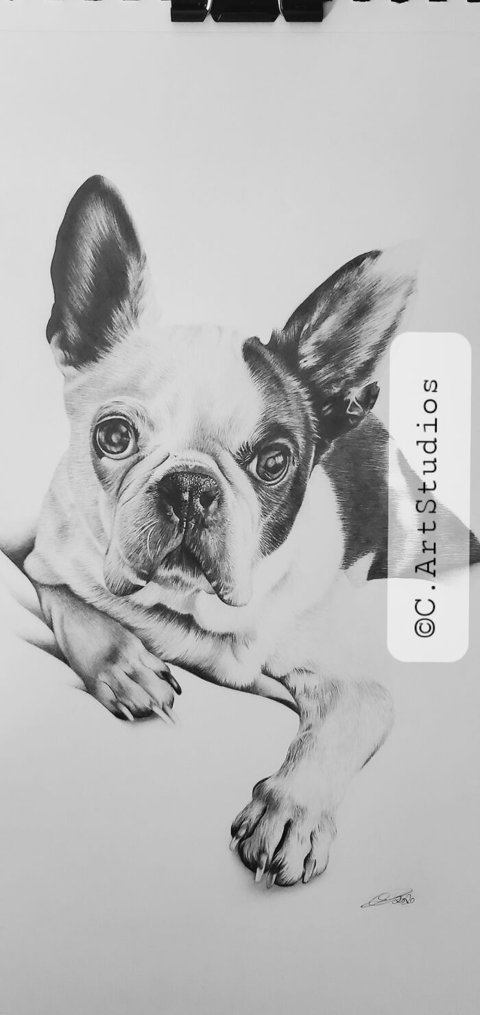 Commission Done Recently. Graphite