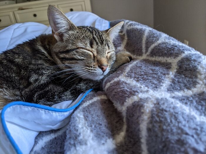 What Is She Dreaming Of?