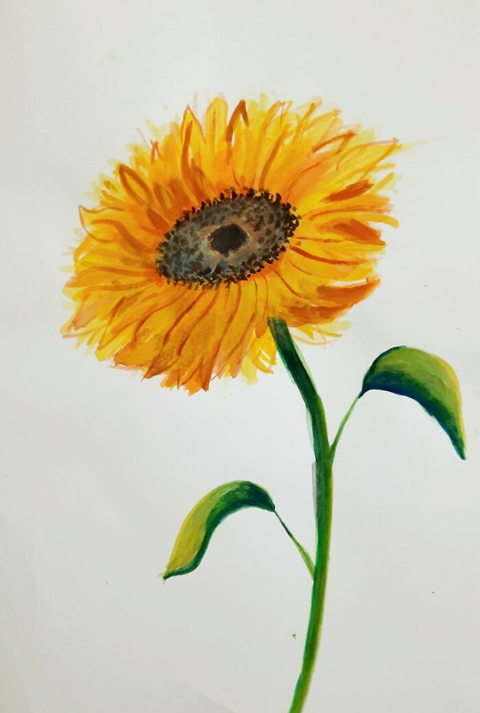 Did This Yesterday For A College Assignment!