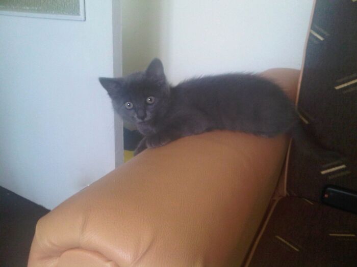 Mays...12 Years Ago...