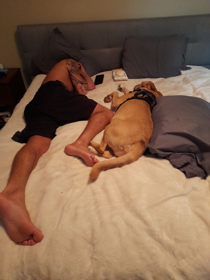 These 2 Sleepy Gents❤❤❤