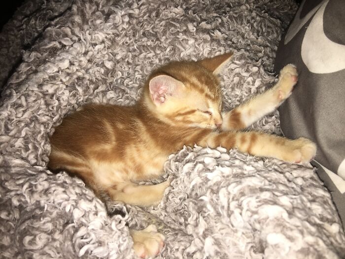 Lilith, Our Love ❤