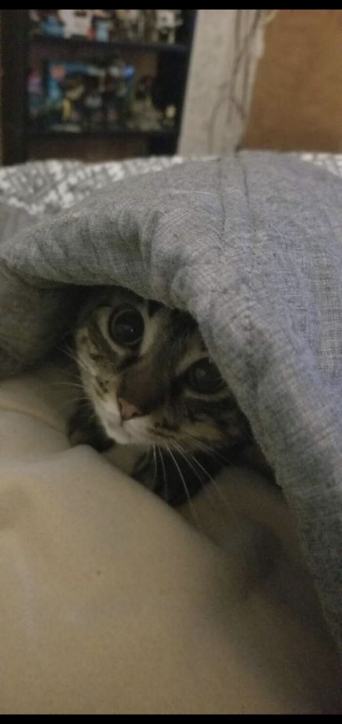 Baby Daisy! She Was Rescued After Being Thrown From A Car!