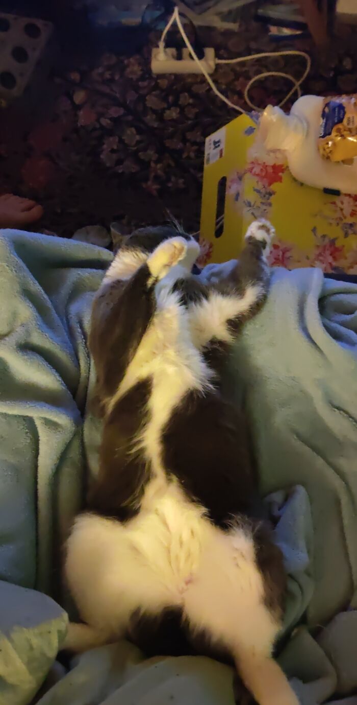 Dramatic, Even When Sleeping.