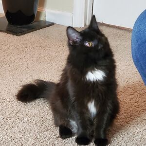 emmalovesherheels avatar