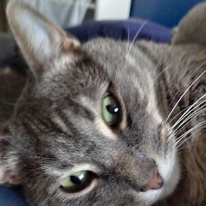 joannasfondeles_1 avatar