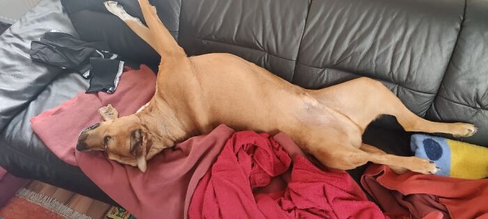 Typical Chill Position