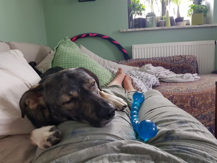 Snuggletime... (With Is Toy Nearby)