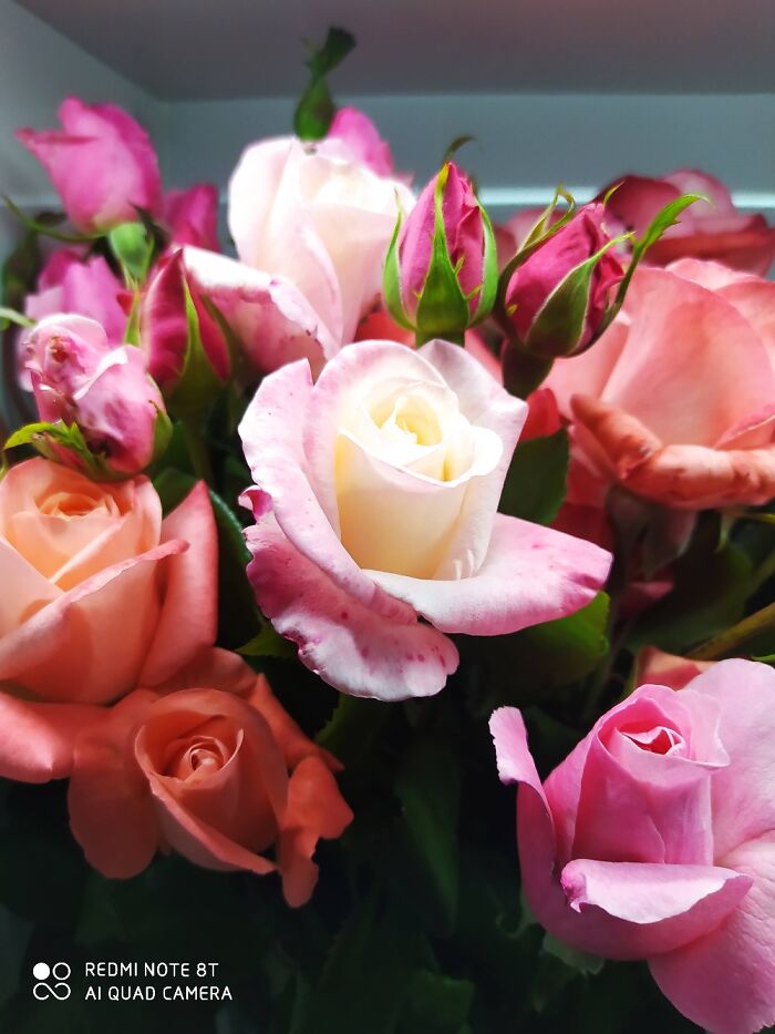 Flowers From My Garden