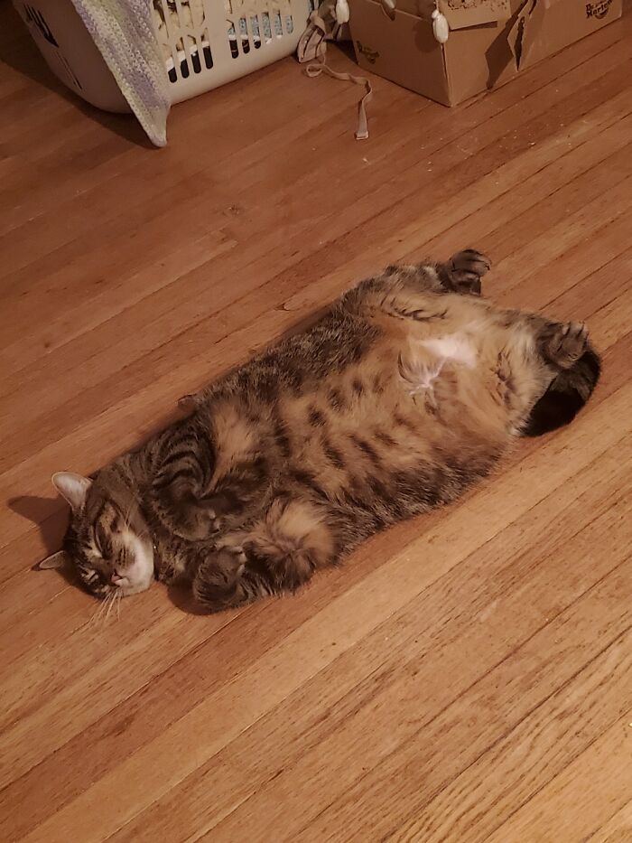 Daisy, My Sweet Little Potato