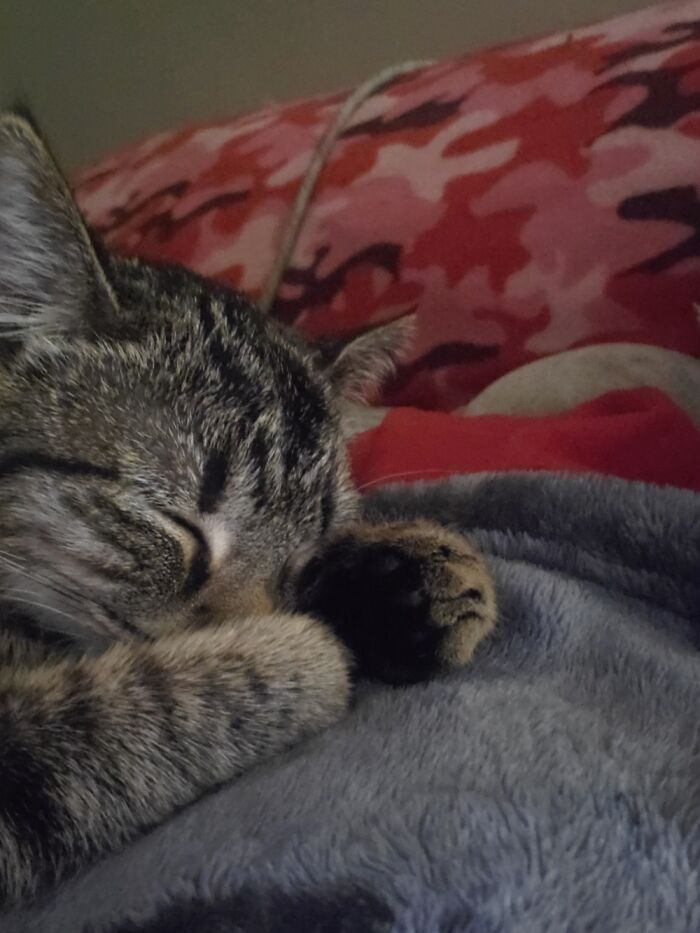 My Baby Charlie 💜