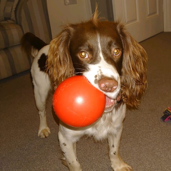 Picking Up A Ball With No Hole!