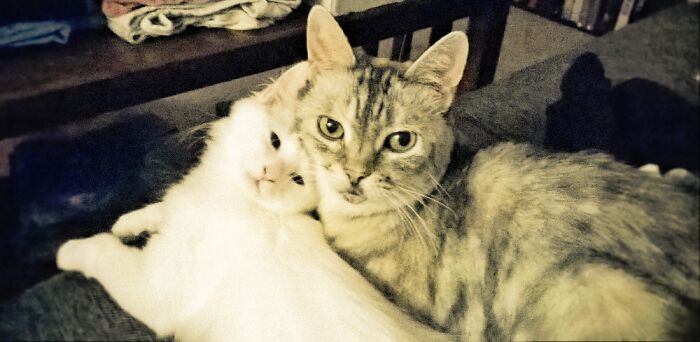 June Is In Front, July Behind.