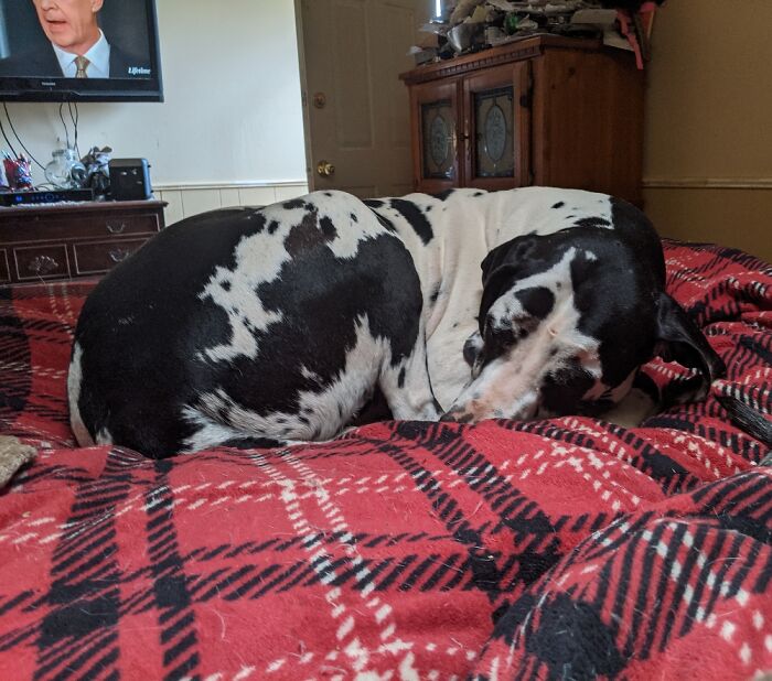 Hes My" Little" Baby! Lol