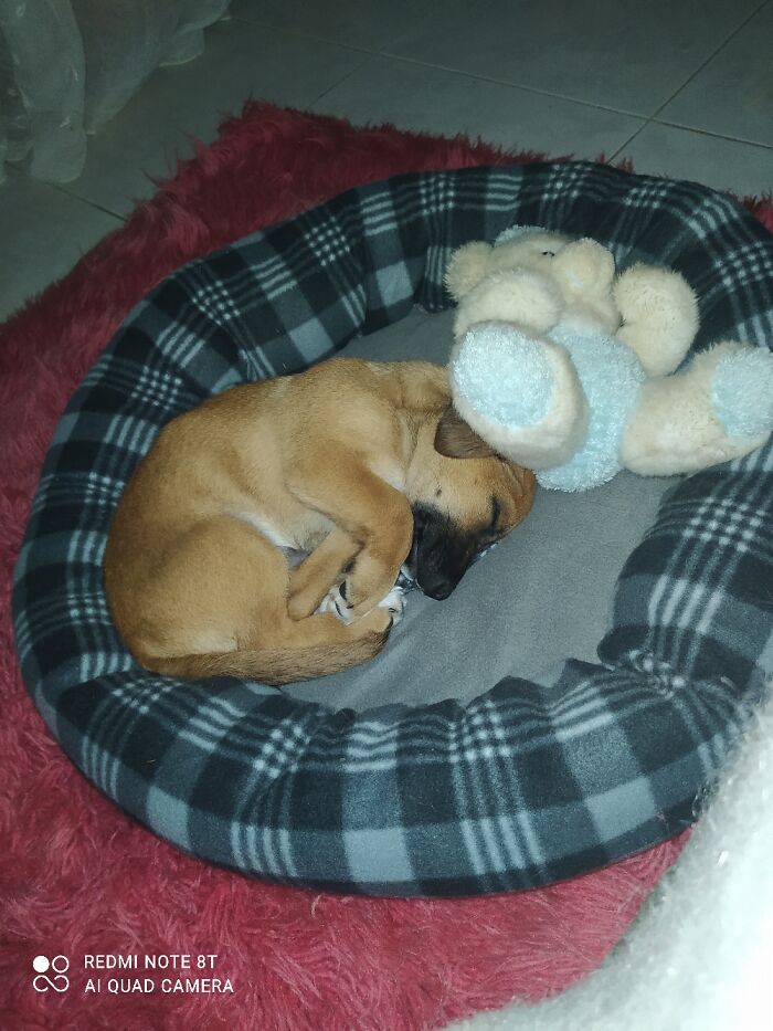 Love Him ❤❤❤❤❤