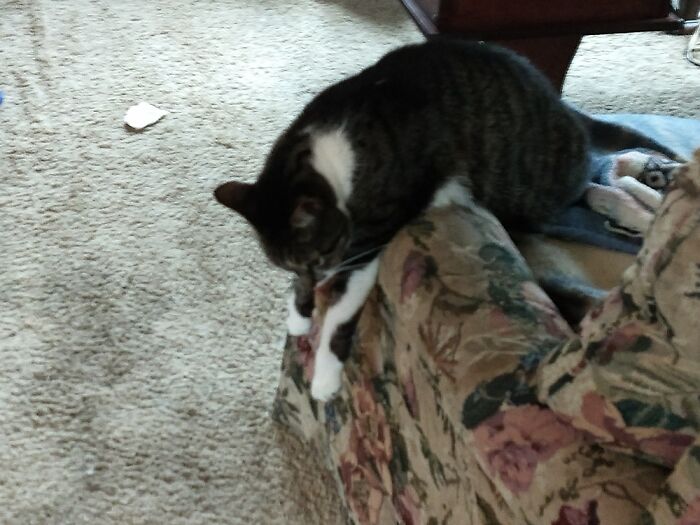 Got Tired Waiting For Me To Come Home