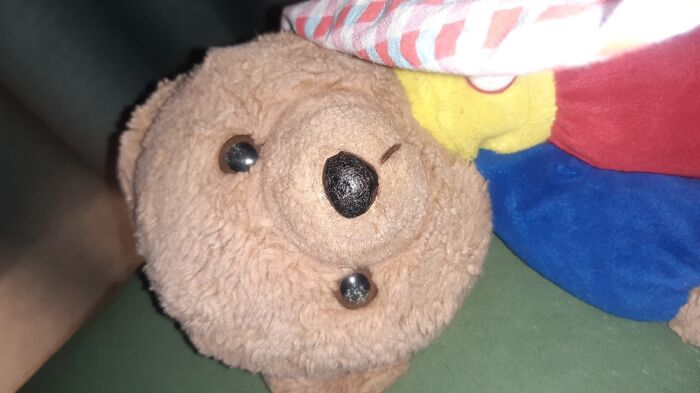 This Is Mark, He Reads Panda Articles Every Night By My Side. Together Since 1990