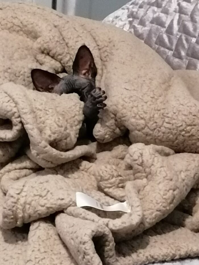 When Your Hot And Stick Your Leg Out.....